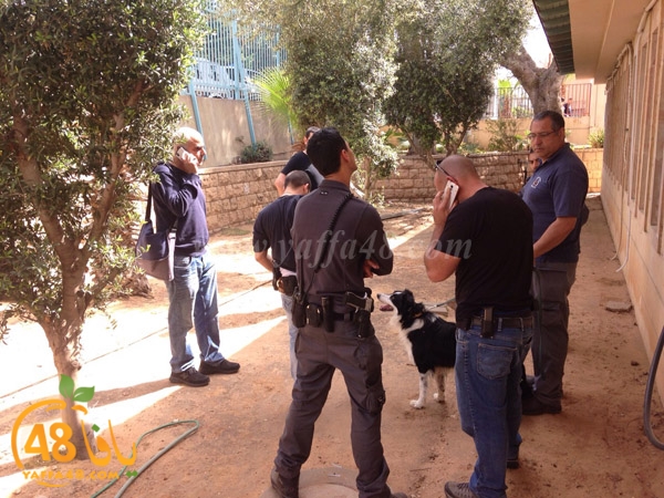 modahama shamela j3h (8).JPG